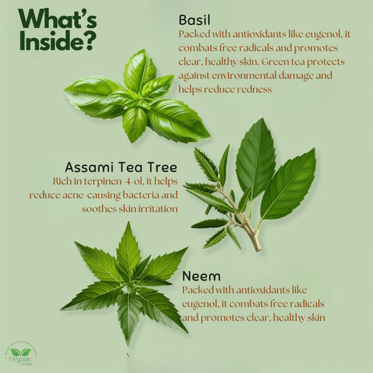 Tea Tree & Basil Clear Skin Face Wash - 200 ml