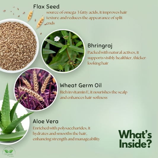 Wheat Protein & Flaxseed Nutri-Rich Hair Strengthening Conditioner - 300 ml