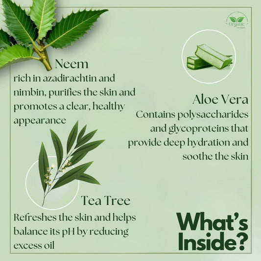 Neem Aloe Vera & Tea Tree Face Gel - 100 gm